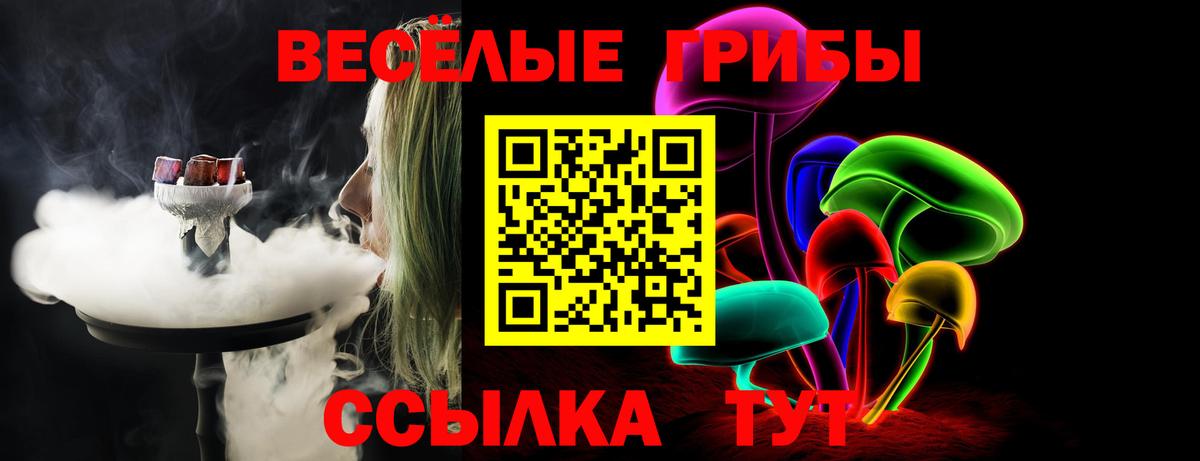 Галлюциногенные грибы Psilocybe  Вход с VPN  Армавир 